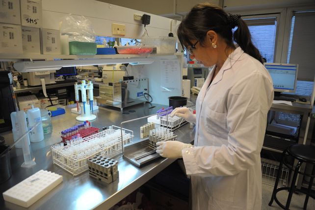 Vigilancia. En el Laboratorio del Cemar están procesando las muestras para confirmar la circulación de la bacteria&nbsp;