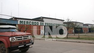 Solicitan información sobre el predio donde funciona el Mercado de Abasto