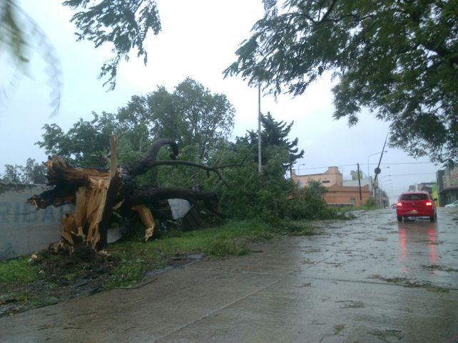 Terrible temporal de lluvia y viento generó graves destrozos en Paraná