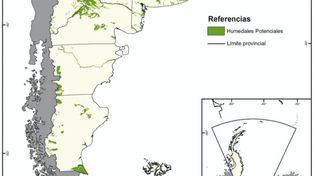 Quema de las islas del Delta del Paraná: sus impactos silenciosos