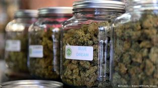 Una agencia estatal controlará en Alemania el consumo de marihuana