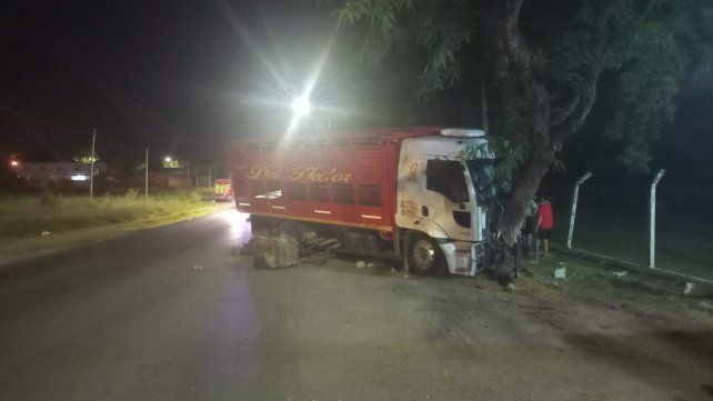El chofer de un camión de reparto chocó contra un árbol al salirse de la cinta asfáltica en calle Salellas