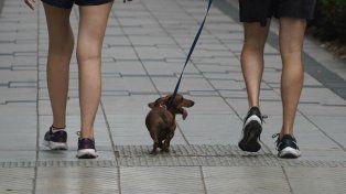 El tiempo en Rosario: martes con bastantes nubes pero el calor sigue firme