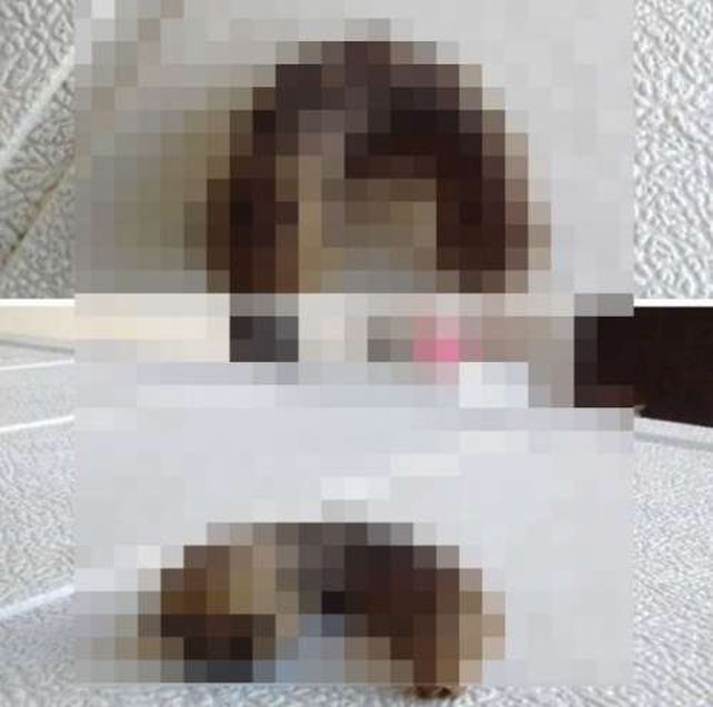 El extraño bicho que apareció en Salta y espantó a todos