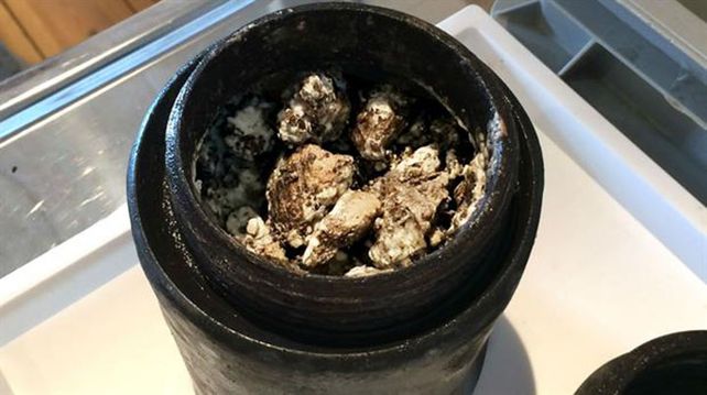Una olla de barro con el queso en el Museo de Kalmar. Foto: AFP / Kronanprojektet / Kalmar Museum