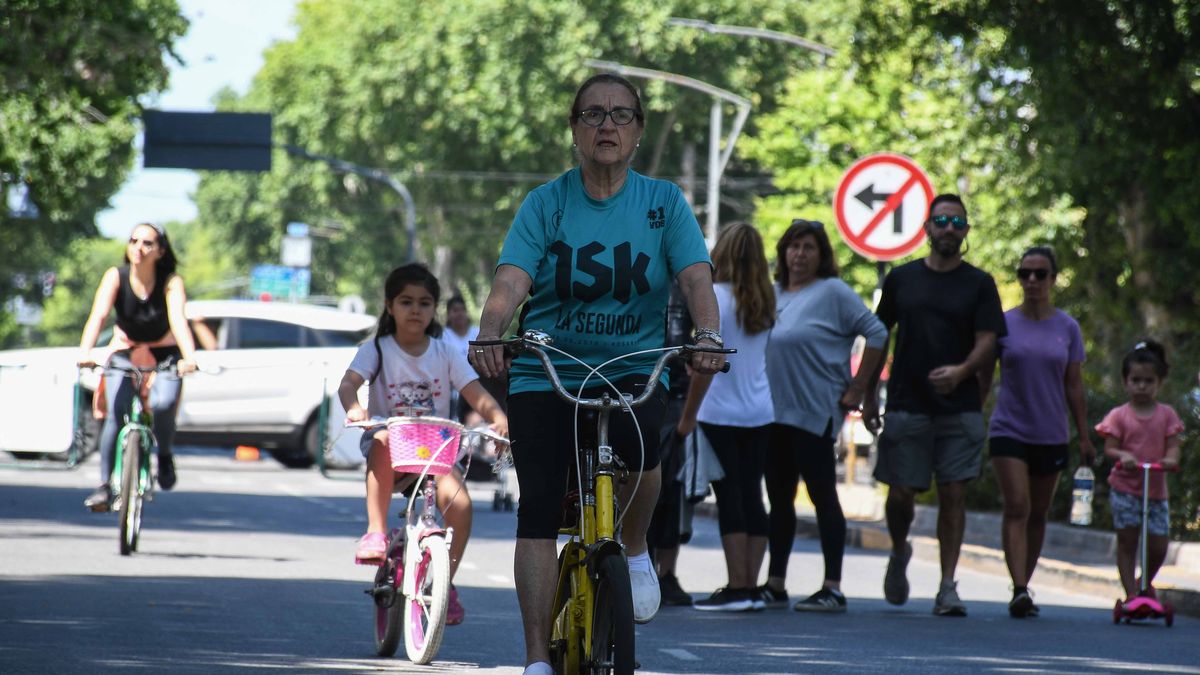 Bicicleteria medina general cheap roca