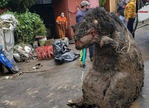 Qué se esconde detrás del hallazgo de una rata gigante en una alcantarilla en México