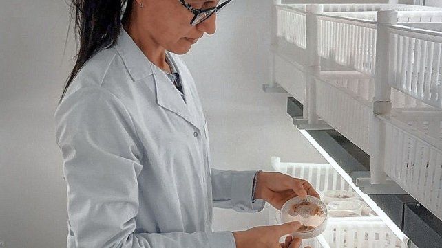 Empresa de la región es candidata al Premio Mundial a la Innovación de la ONU