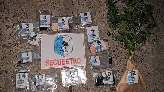 En los allanamientos por narcomenudeo se halló un trozo de marihuana y planas de cannabis