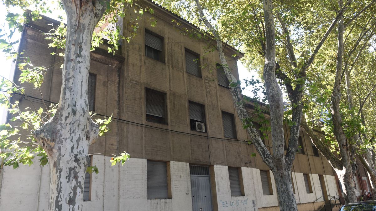 Viejas prácticas de colegios privados: despiden a profesora porque sí