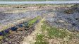 incendios en las islas: controlan mas del 90% de los focos y preven un alivio hidrologico en el rio parana