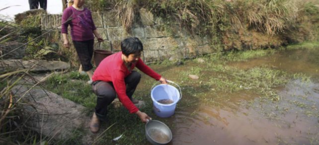 Casi dos millones de ni&ntilde;os mueren al a&ntilde;o por tomar agua contaminada