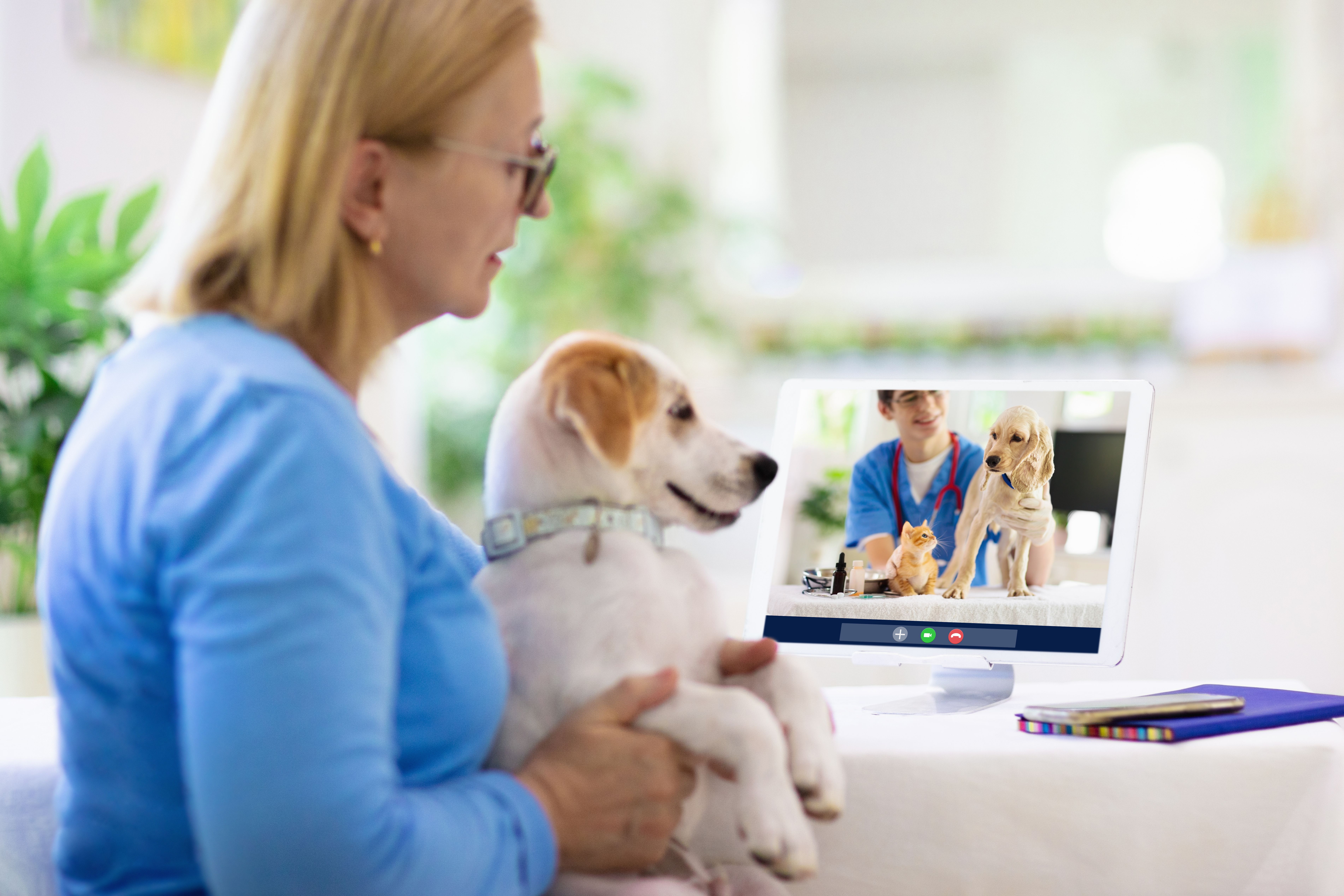 Televeterinarios online: una aplicación de atención virtual 24 horas para mascotas