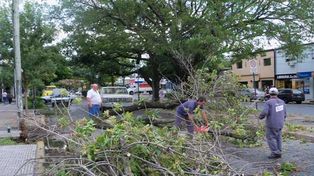 Llegó la lluvia y provocó destrozos: sigue el alerta por tormentas fuertes