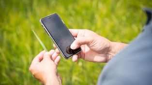 Agtech. Las startups interesadas pueden postularse hasta el 30 de diciembre.