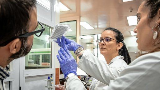 Ajuste en el Malbrán: eliminan un centro de investigaciones y unifican dependencias