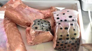 ¿Por qué los argentinos no incorporan el pescado en su alimentación diaria?