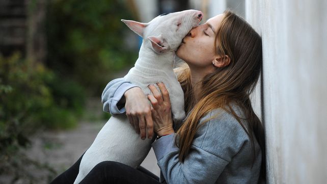 Jóvenes y mascotas: una relación que se afianza y hasta cambia el mercado