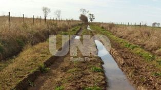 Pese a los arreglos, Grutly sufre las consecuencias de la emergencia hídrica