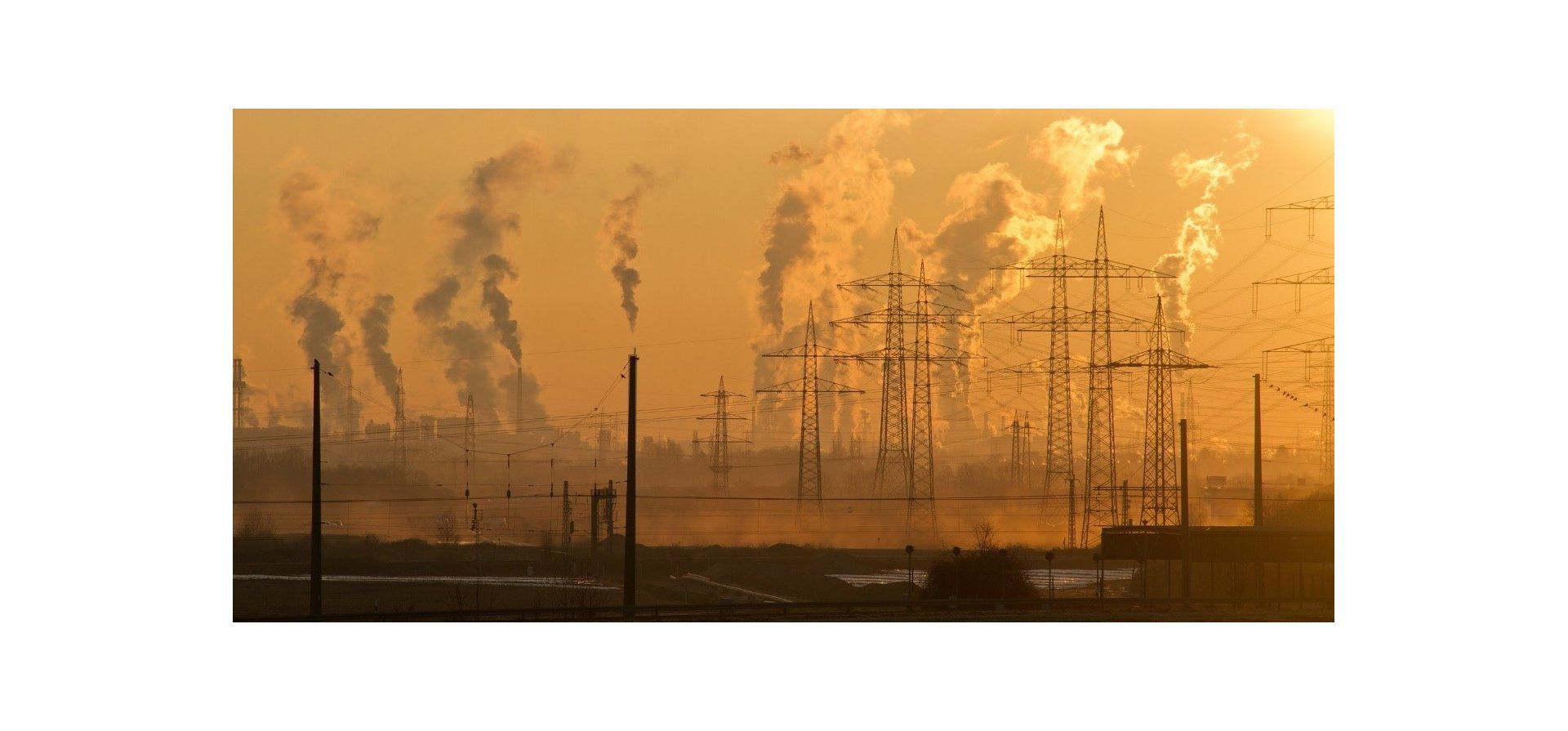 Reforma constitucional: juristas y especialistas ponen el foco en el capítulo ambiental