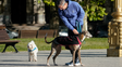 Proponen que haya bolsas gratuitas en las plazas de Rosario para juntar caca de perro