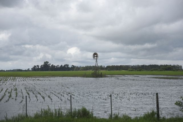 Elocuente. Los campos que quedaron inundados son la postal que resume los efectos que está ocasionando el monocultivo sobre la .capacidad de absorción de los suelos.