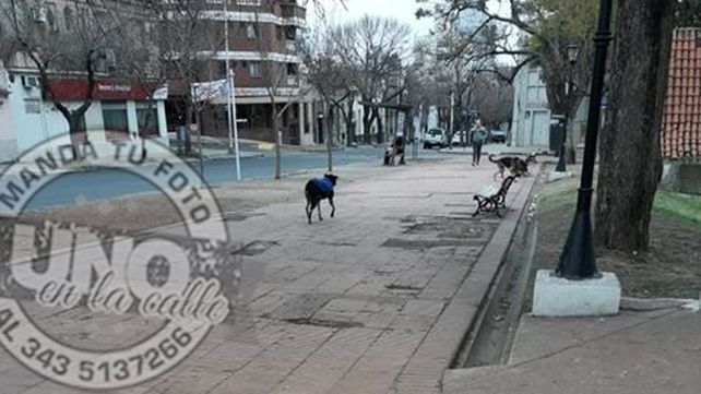Me da vergüenza vivir en esta ciudad