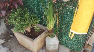 Operativos de descacharrado en instituciones educativas y deportivas de Santo Tomé para prevenir el dengue