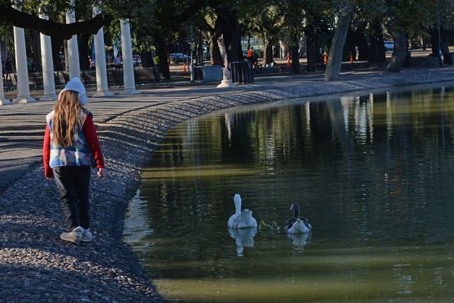 Este lunes feriado nacional arrancó con una mañana con viento sur. No se descarta que caigan algunas gotitas durante el día y también vuelve el frío.&nbsp;