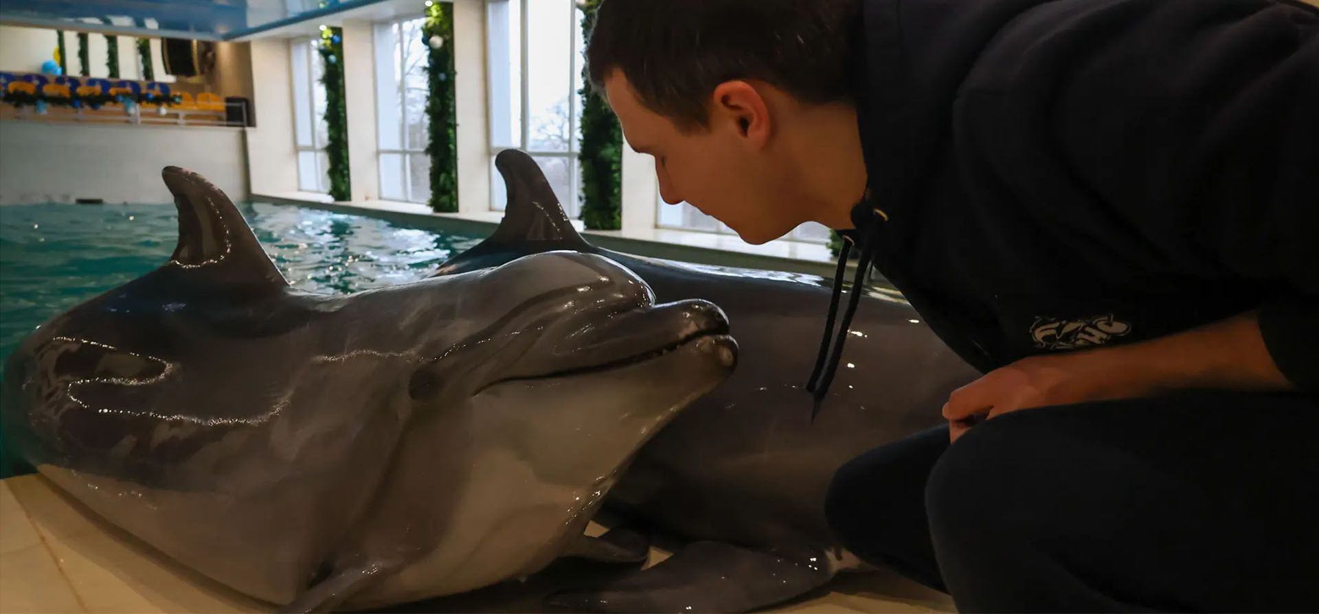 Járkov, Ucrania. Delfines en el Delfinario de Kharkiv. Debido a la guerra, los trabajadores de la instalación se vieron obligados a evacuar a las focas, leones marinos y delfines a otra ciudad. Fotografía: Agencia Anadolu/Getty Images