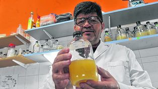 Científicos rosarinos descubren una bacteria que actúa sobre la longevidad