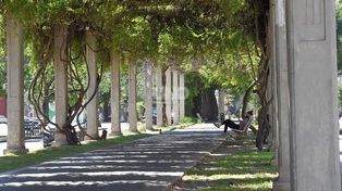 Pese al sol aún persiste la inestabilidad en la ciudad