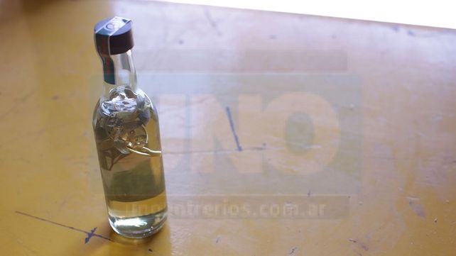 Por qué se debe tomar caña con ruda en ayunas cada 1º de agosto