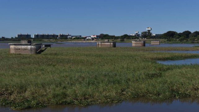 Se consolidó un nuevo embalsado en la laguna Setúbal luego de varias semanas de crecida del río Paraná. Foto: José Busiemi (UNO Santa Fe).