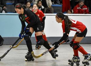 Los equipos entrerrianos iniciaron su participación en el Torneo Argentino Infantil Femenino