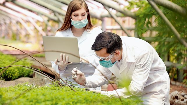 El sponsor responsable de desarrollar la biotecnología es una empresa canadiense.