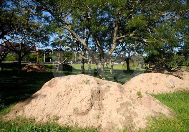 Comienza a tomar forma el traslado de los boliches a la zona de la Fuente de la Cordialidad