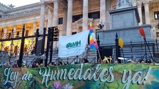 Ley de Humedales: Hay presión de intereses que imponen su necesidad