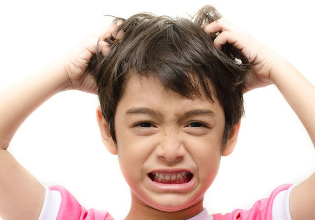 Eran mentira: los mitos que no sabías sobre los piojos