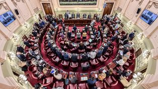 El debate por la autonomía municipal se instala en Santa Fe: ¿pueden los concejales redactar la carta orgánica?