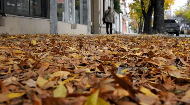 OTOÑO