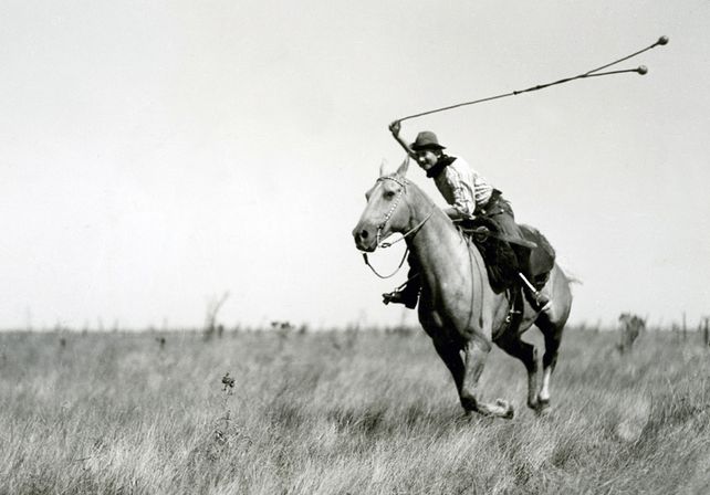 ¿Sabés de dónde provienen las palabras boludo y pelotudo? ¿Sabés de dónde provienen las palabras boludo y pelotudo?