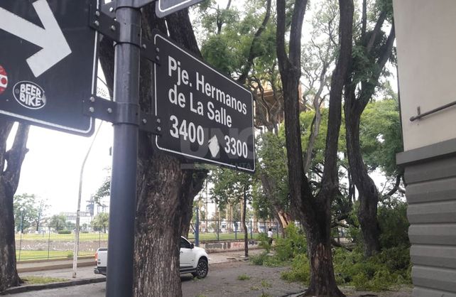 La rama cayó producto de los fuertes vientos por la tormenta de la madrugada.