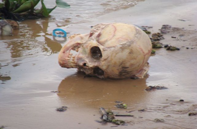 Macabro. El lugar donde se encontró el cráneo de Luque se encuentra unos 150 metros al oeste de la Ruta Provincial Nº 1