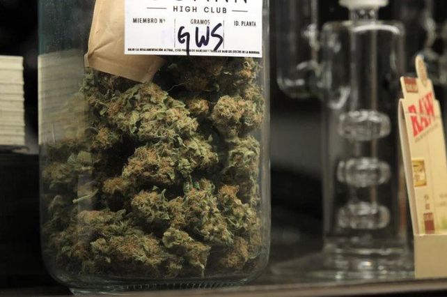 Uruguay cumplió una década de legalización de la marihuana