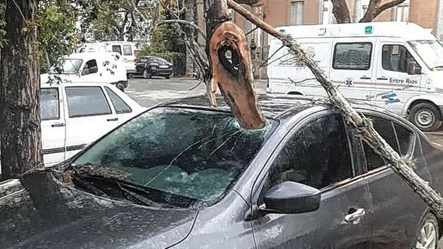 La conductora se encontraba dentro del vehículo al momento del incidente.