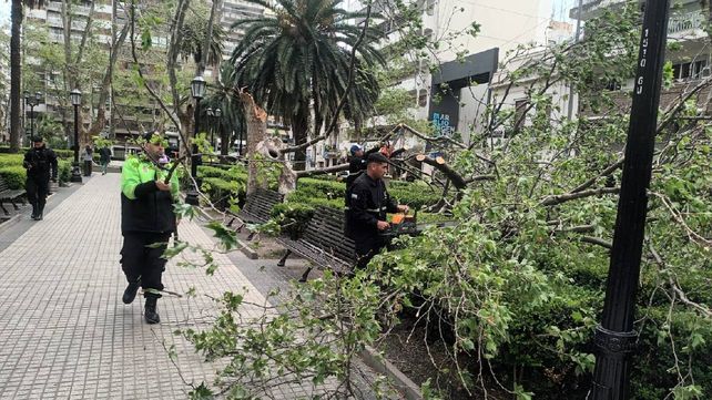 Las ráfagas de viento en Rosario superaron los 80 km/h y generaron 130 reclamos