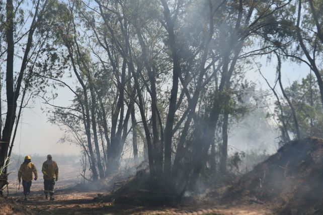 Desde Nación piden ser inflexibles en la aplicación de las leyes para terminar con los incendios