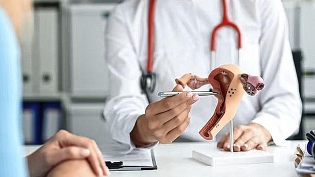 Oncología: terapia para pacientes con cáncer de endometrio