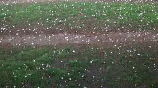 Granizada. La pedrada quedó esparcida en los terrenos de Alcaraz.&nbsp;